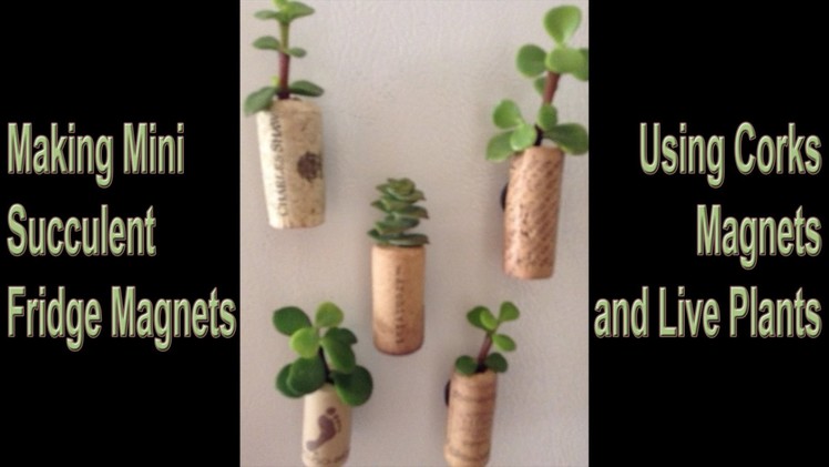 Mini Cork Succulents Fridge Magnet Tutorial DIY