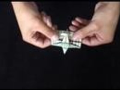 Money Origami | Dollar Bill Origami Armadillo