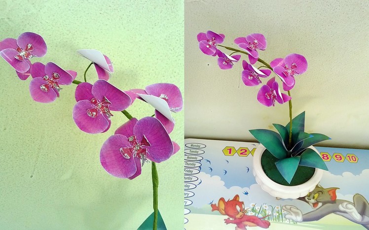 Phalaenopsis orchids paper flower - Làm hoa lan hồ điệp giấy