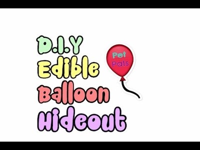 D.I.Y Edible Balloon Hideout | PetPals