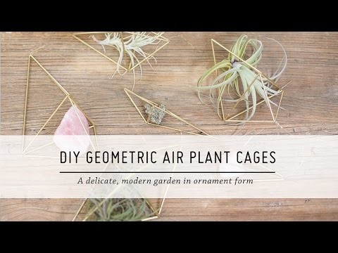 DIY Geometric Air Plant Cages | Home Decor Tutorial | Mr Kate