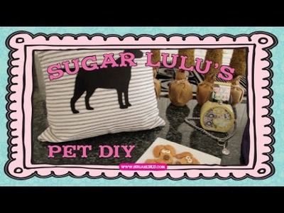 Sugar Lulu's Pet DIY