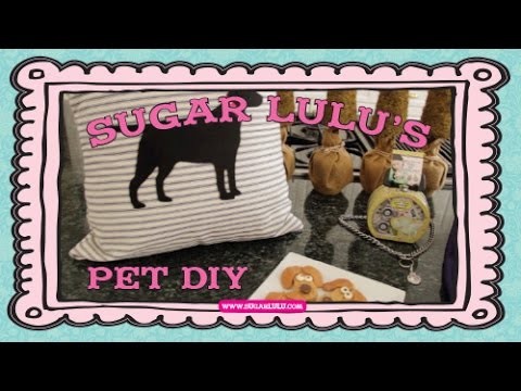 Sugar Lulu's Pet DIY
