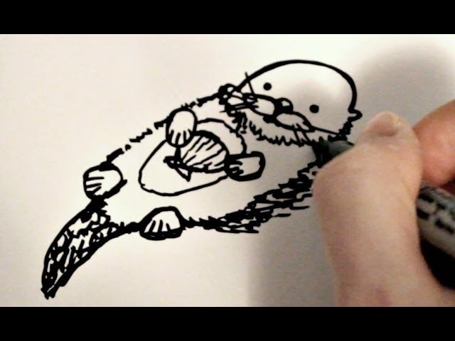 How to Draw a Cartoon Sea Otter