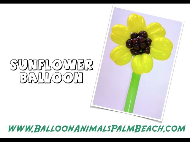 How To Make A Sunflower Balloon - Balloon Animals Palm Beach