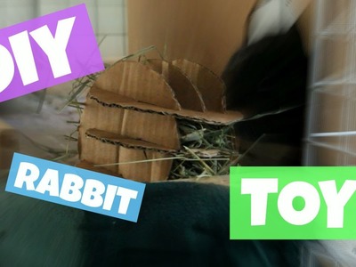 How to Make Homemade Rabbit Toy  -Hay Roller - DIY Pet Toy