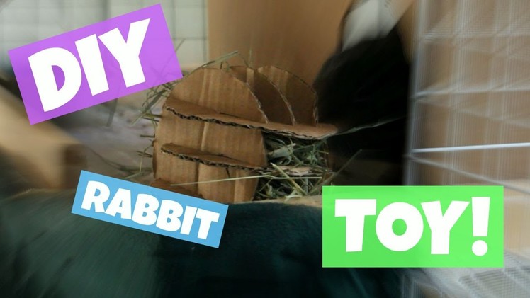 How to Make Homemade Rabbit Toy  -Hay Roller - DIY Pet Toy