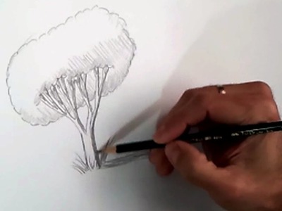 Teaching children to draw a realistic tree step by step | how to draw a tree pencil technique