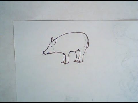 How to draw a boar (simple drawing)