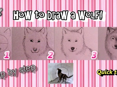 ♡ How to Draw Realistic Wolf (for beginners!)