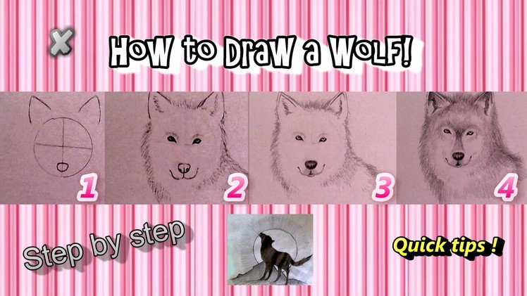 ♡ How to Draw Realistic Wolf (for beginners!)