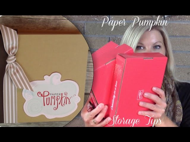 How to store your Paper Pumpkin kit stamp sets with Project Life