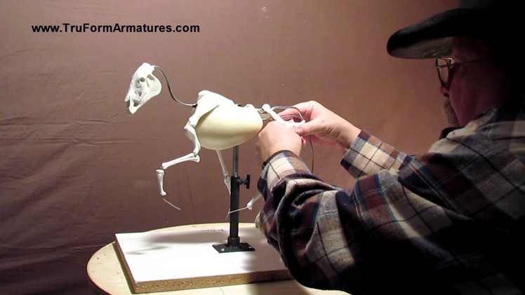 Sculpting Tutorial on How to Use Your TruForm Horse Armature
