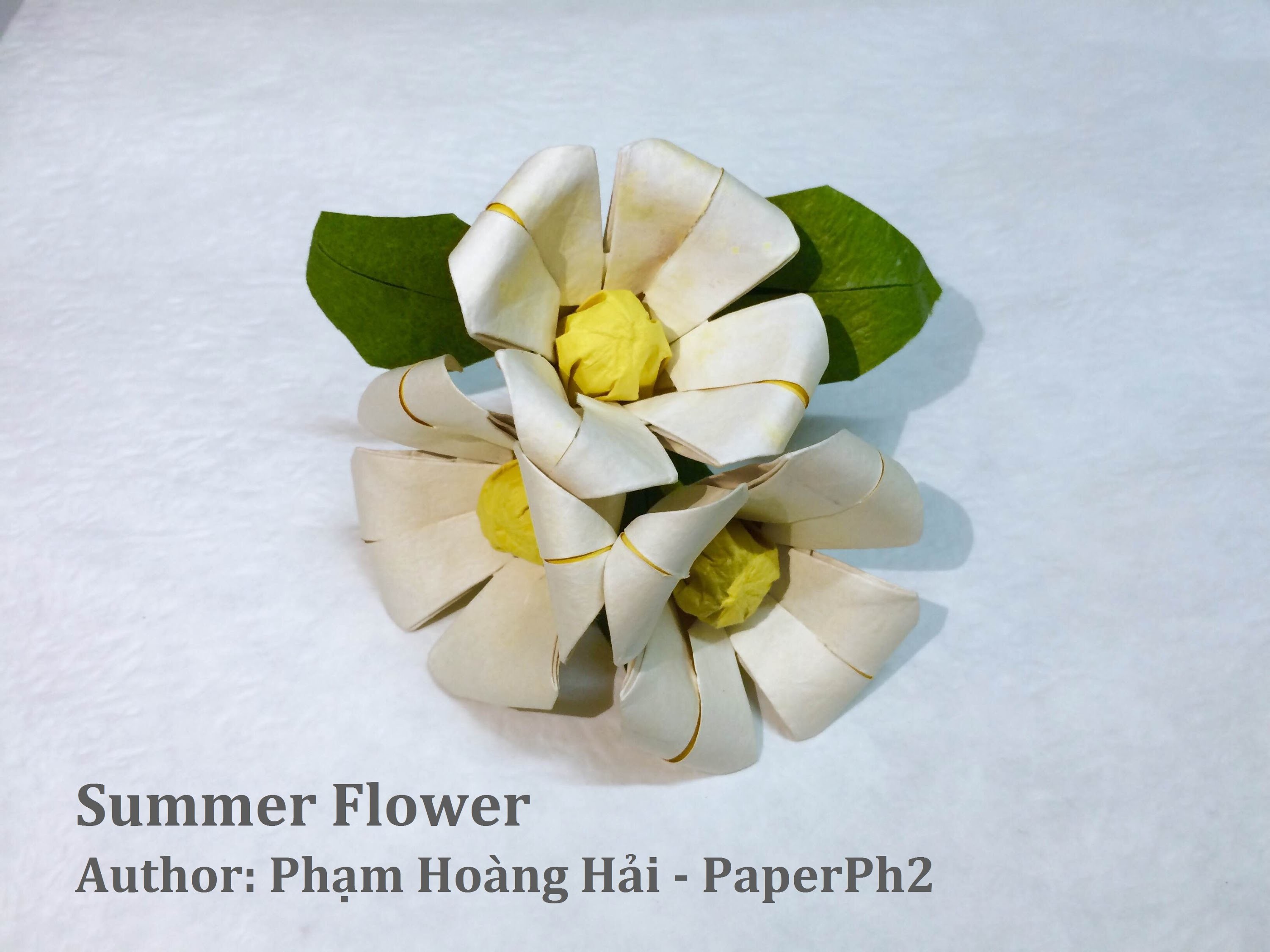 Tutorial - How to make Origami Summer Flower by Phạm Hoàng Hải - PaperPh2