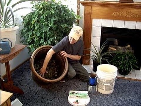 EASY Indoor composting anytime!