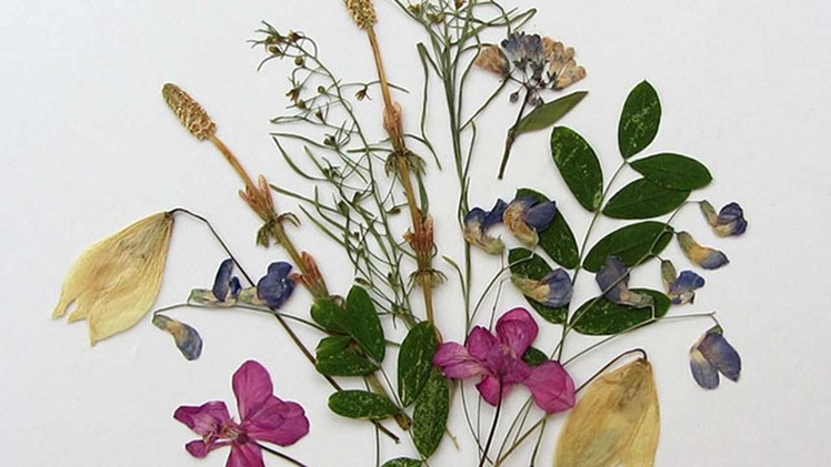 How To Create Pretty Dried Flowers - DIY Crafts Tutorial - Guidecentral