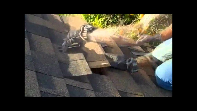 ROOF REPAIR - How to replace roofing shingles