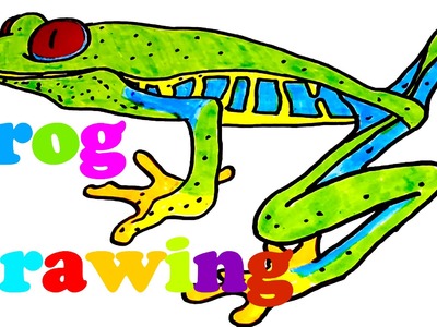 DIY How to draw easy stuff.things but cool on paper: draw a realistic FROG easy, SPEED ART