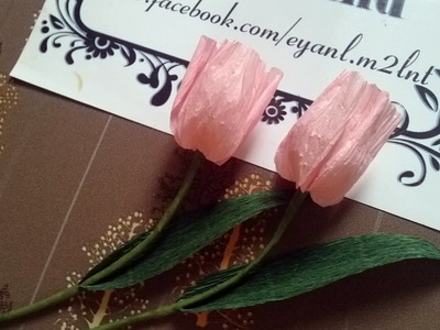 Tulip paper flower - Làm hoa tulip giấy