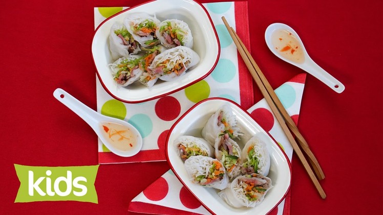 Vegetable and Beef Rice Paper Rolls Recipe