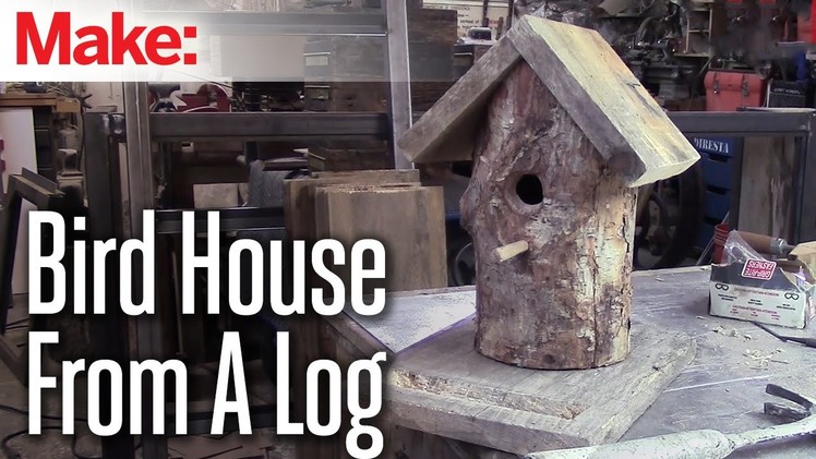 DiResta: Log Bird House