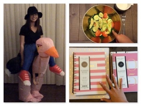 Halloween, Raw Vegan Food Diary, Sugar Paper Planner Haul! | TMTV