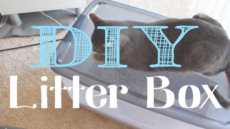 Kelli's Life Hacks: DIY Litter Box for under $10