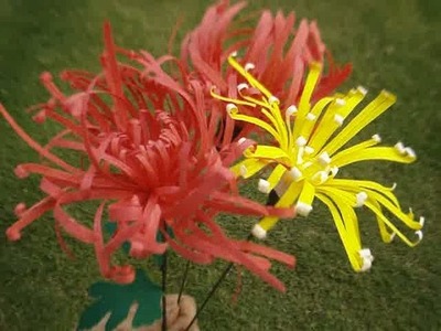 Paper Flower - Chrysanthemum Spider