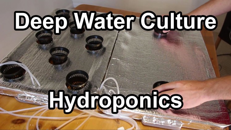 Homemade DWC Hydroponics System - DIY Deep Water Culture How-to