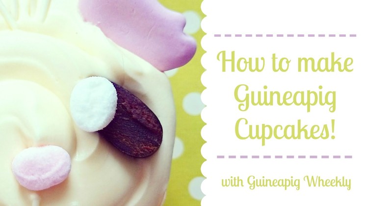 How to make guineapig theme cupcakes! with guineapig wheekly