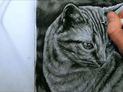 HYPERREALIST CAT DRAWING