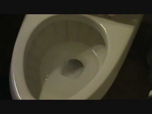 The EASY way to clean a toilet