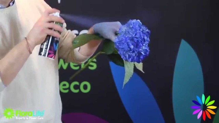 Floralife® Aqua Color Spray - How To: Flowers