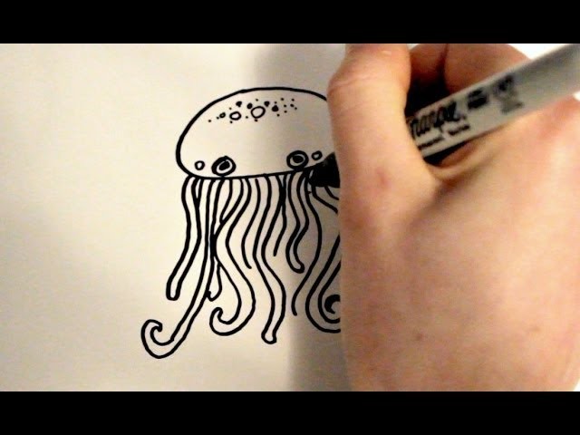 How to Draw a Cartoon Jellyfish v2