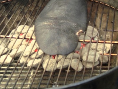 How to Grill Beaver Tail by BBQ Dragon