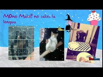 ANIMALITOS LOCOS Y  MANUALIDADES CDLT