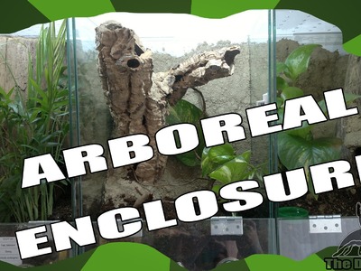 DIY: Setting up an arboreal enclosure with cork bark tube (for P. ornata)