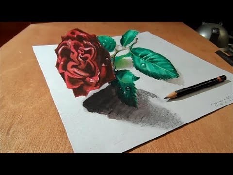 Drawing a 3D Red Rose, Time Lapse