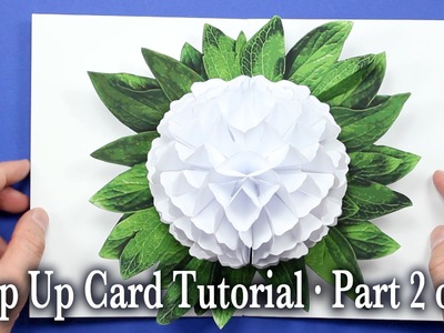 Flower Pop Up Card Tutorial Part 2 of 3