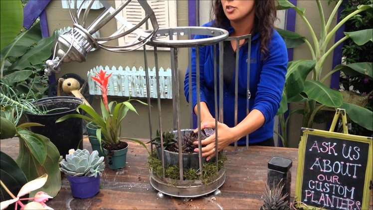 Planting a Succulent Birdcage