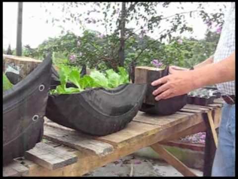 Tire Garden Experiment