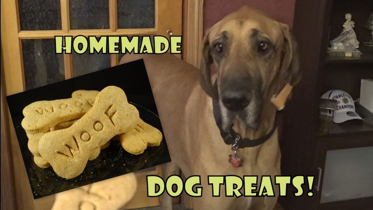 Homemade Dog Treats- with yoyomax12