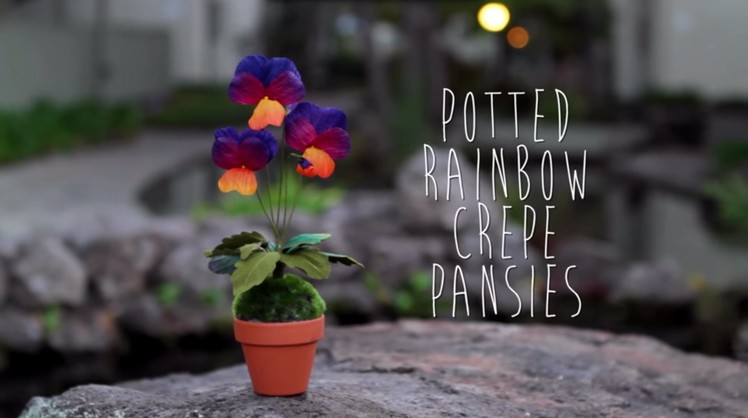 Crepe Paper Pansy Tutorial