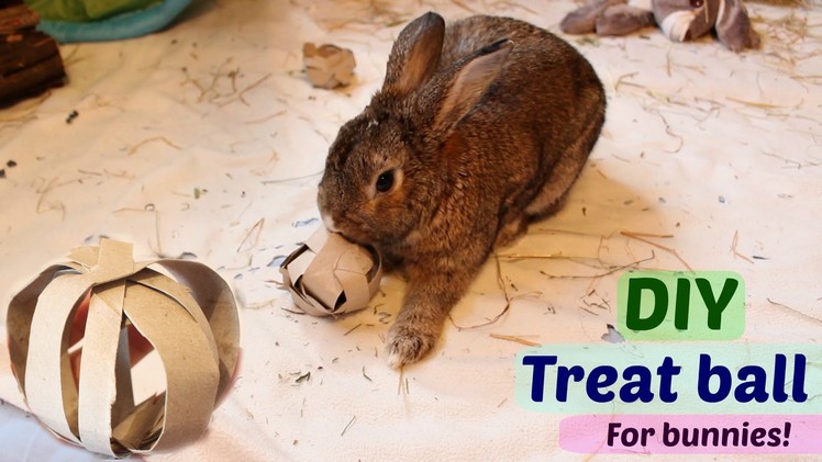 DIY treat ball for bunnies