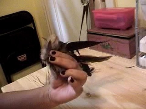 Feather Hair Clip Tutorial - Antelope Baby