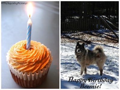 How to make a Cake For Your Birthday Dog - 4 All Natural Ingredients Recipe