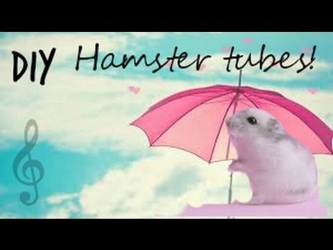 HOW TO MAKE DIY HAMSTER TUBES ~fast & easy!