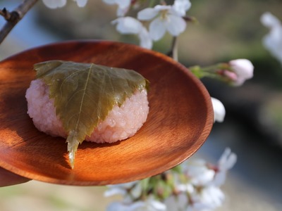 How to make Sakura mochi"Domyoji"