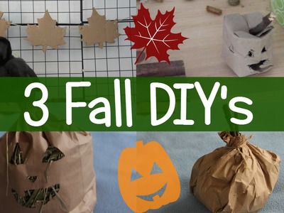 3 Fall DIYs! - DIY Small Pet Toys