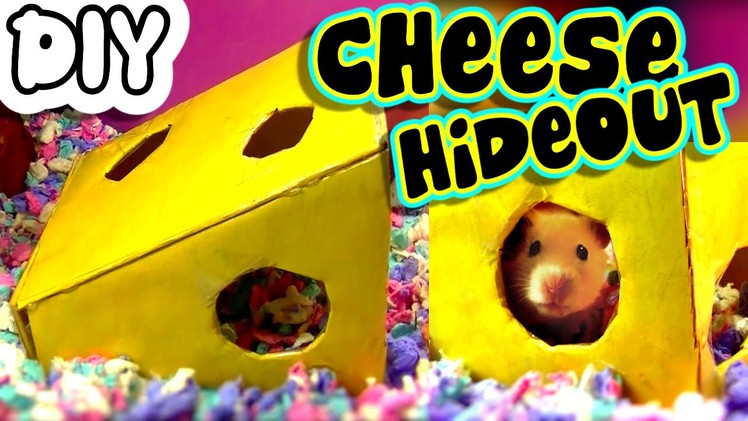 DIY Cheese Hamster Hideout.Toy!